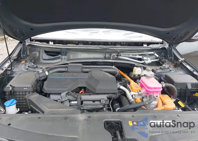 KNDPVCDG5R7169699: 42890536