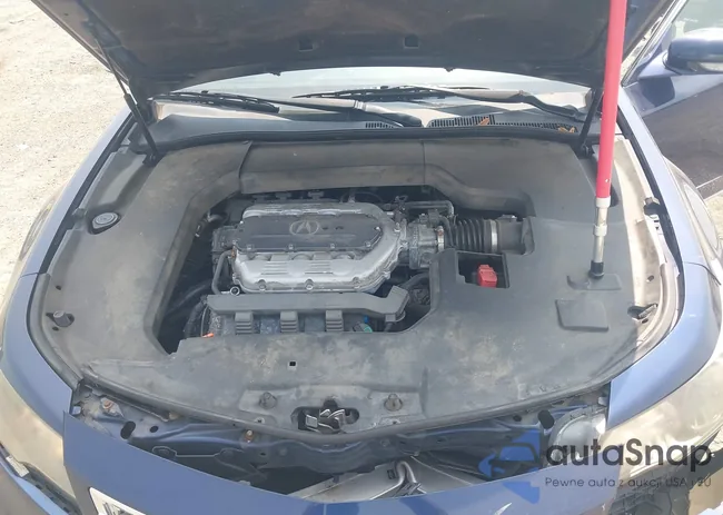 19UUA9F56DA000219: 42891802