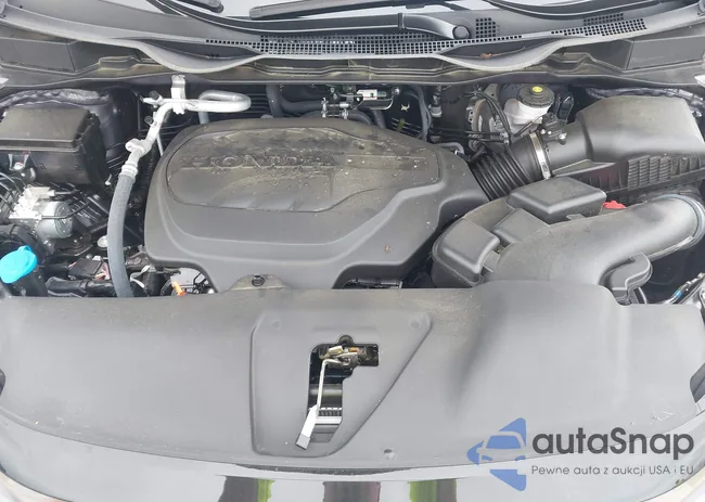 5FNRL6H66SB048486: 42892393