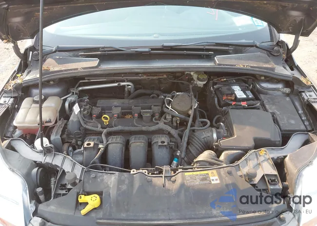 1FADP3F2XDL217959: 42894299