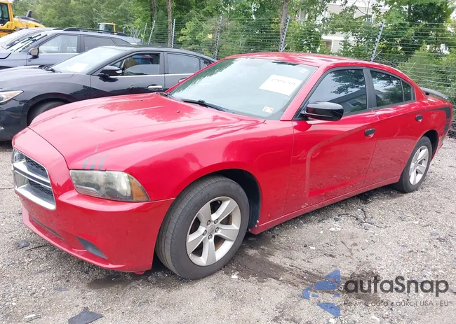 2C3CDXBGXCH217807: 42894719