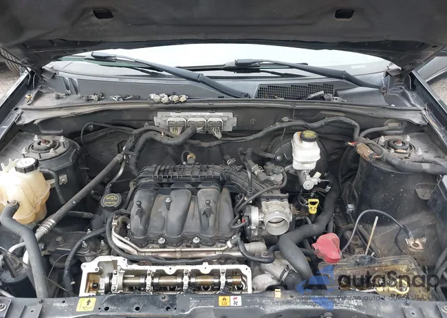 1FMCU9DG9CKB80533: 42895952