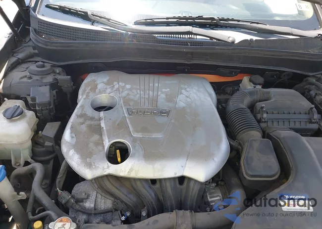 KMHEC4A49DA093358: 42895472