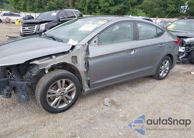 KMHD84LF6HU192901: 42895608