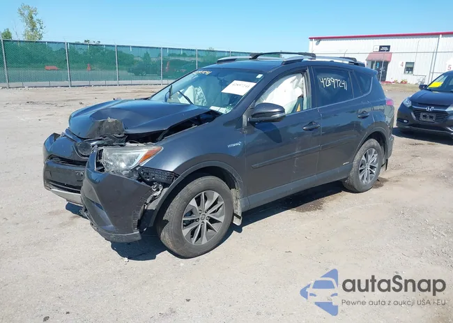 JTMRJREV3GD037706: 42897241