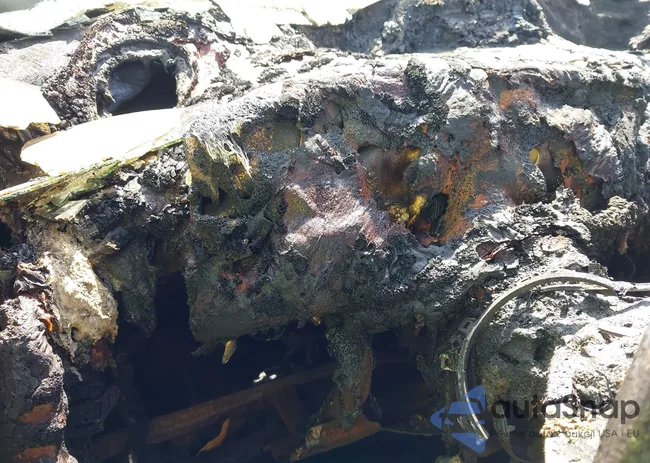 2B3KA43D79H500825: 42896584