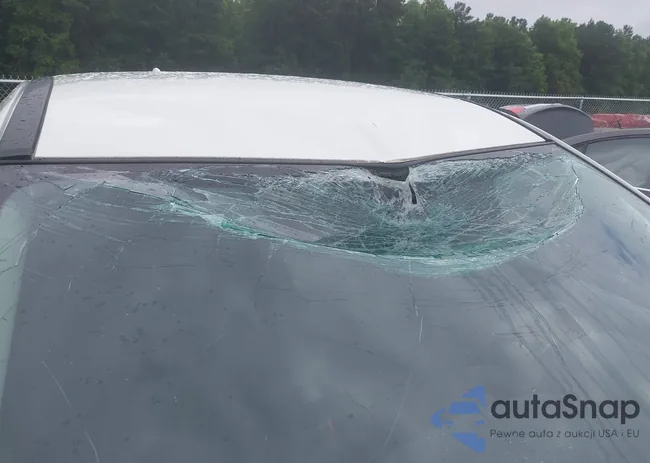 5N1AT2MT5JC828942: 42896661