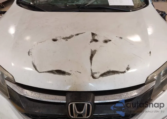 5J6RM4H77GL068304: 42896686