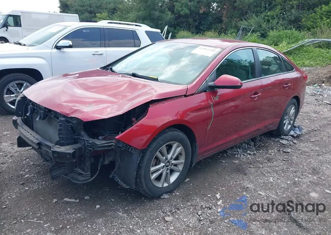 5NPE24AFXFH201569: 42897518