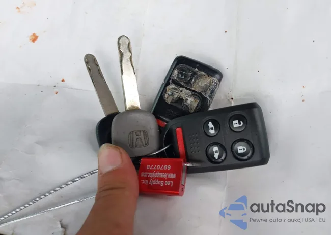 5FNRL38777B403101: 42900966