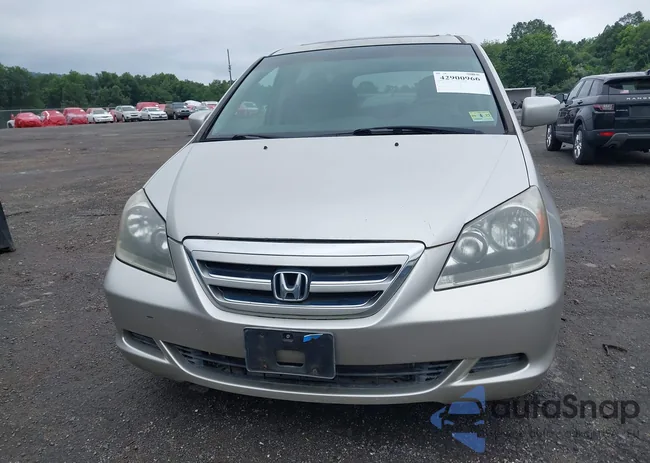 5FNRL38777B403101: 42900966