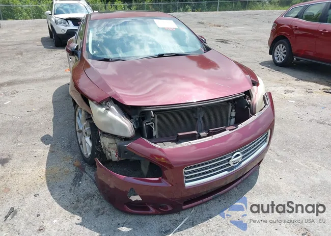 1N4AA5AP1AC834584: 42901843