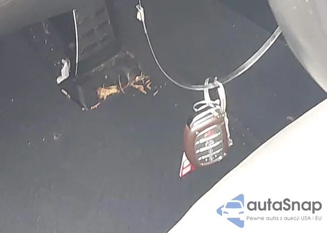 5NPE34AB0FH117142: 42901982