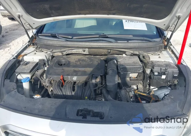 5NPE24AF3GH378319: 42902233