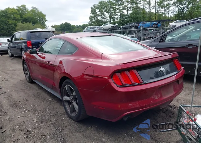 1FA6P8AM5G5308161: 42906136