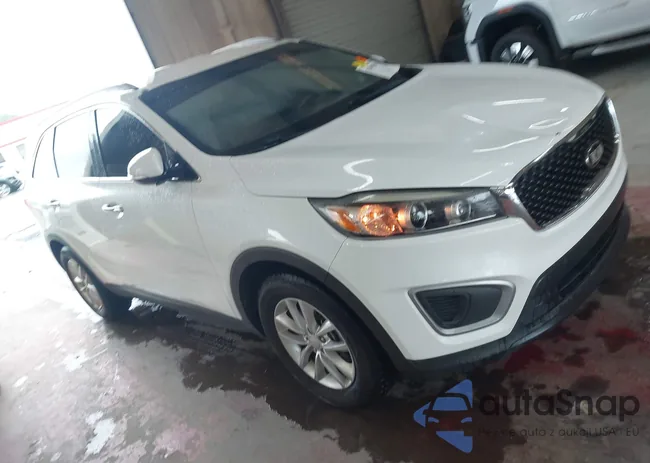 5XYPG4A55JG355267: 42905560