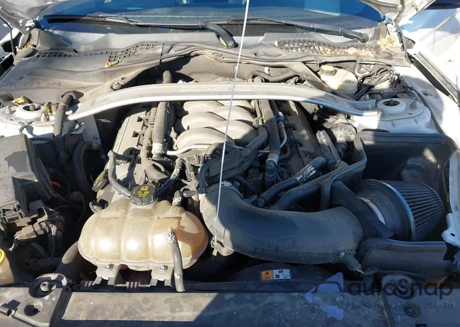 1FA6P8CF4G5201388: 43905054