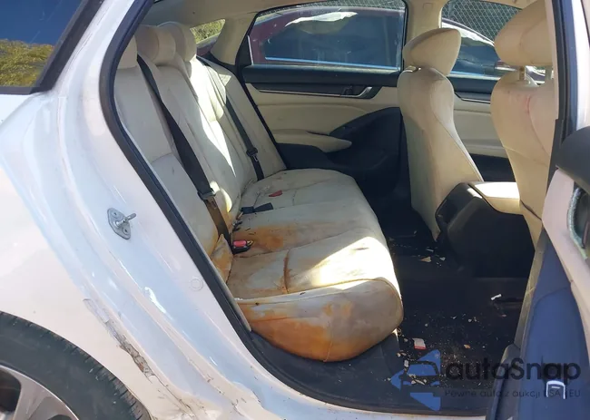 1HGCV1F19JA008924: 43905153