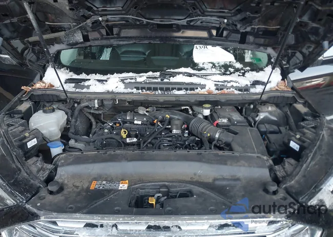 2FMPK4J93LBA46742: 43905196