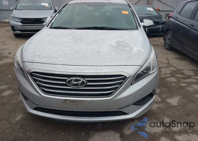 5NPE24AF9GH417897: 43905273