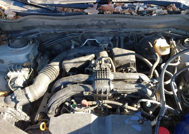 JF2SJADC4FH427029: 43905386