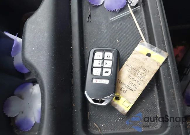 5FNRL6H50JB101737: 43904513