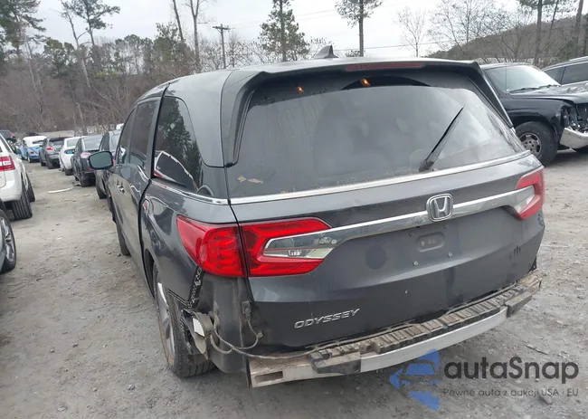 5FNRL6H50JB101737: 43904513