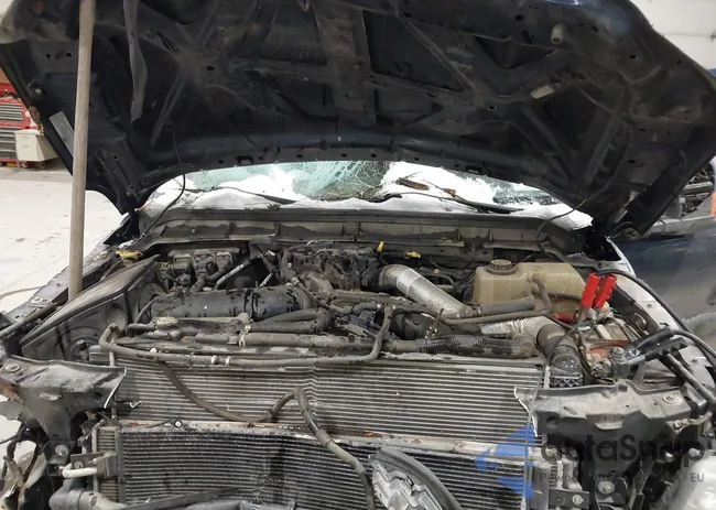 1FT7W2BTXGEB81248: 43904571