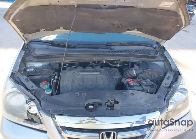 5FNRL38797B108291: 43904724