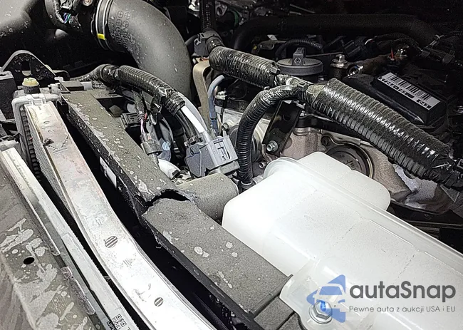 3TYLC5LN7ST032473: 43904740