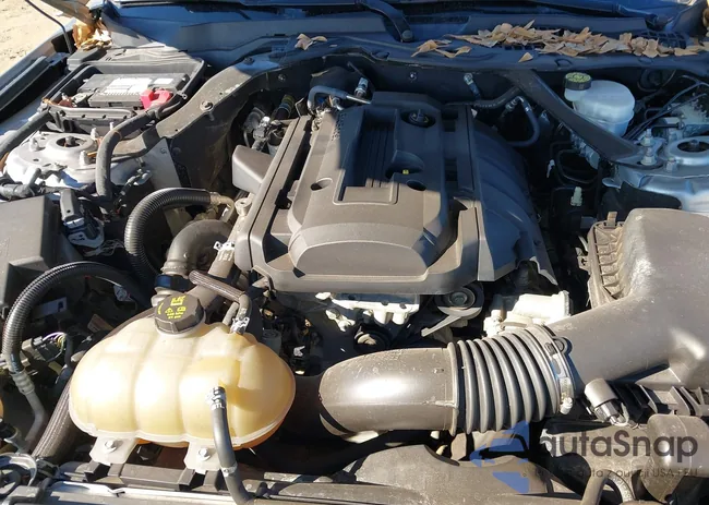 1FATP8UH2L5132049: 43906176