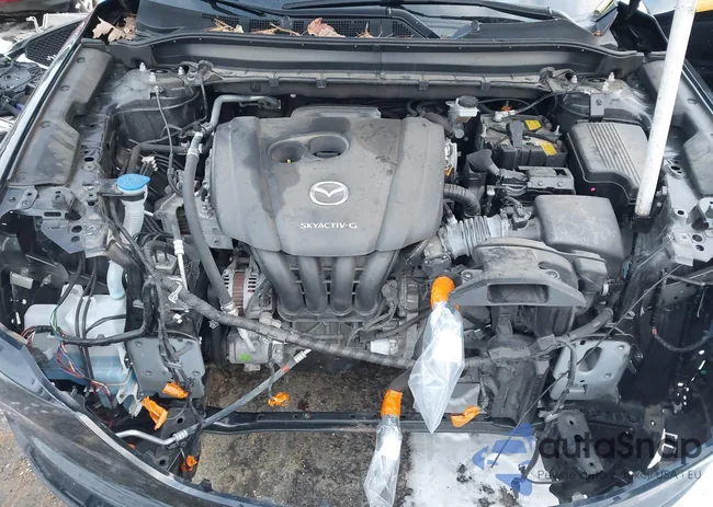 JM3KFBBM3M0328075: 43906208