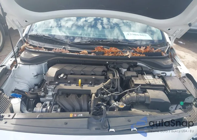 3KPC24A66LE115974: 43906309