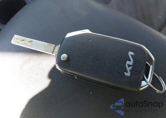 KNDEPCAA3N7248655: 43906332