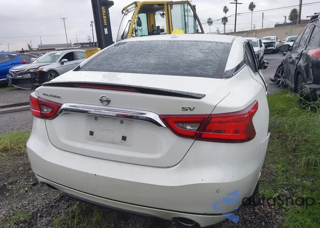 1N4AA6AP6HC395141: 43905638