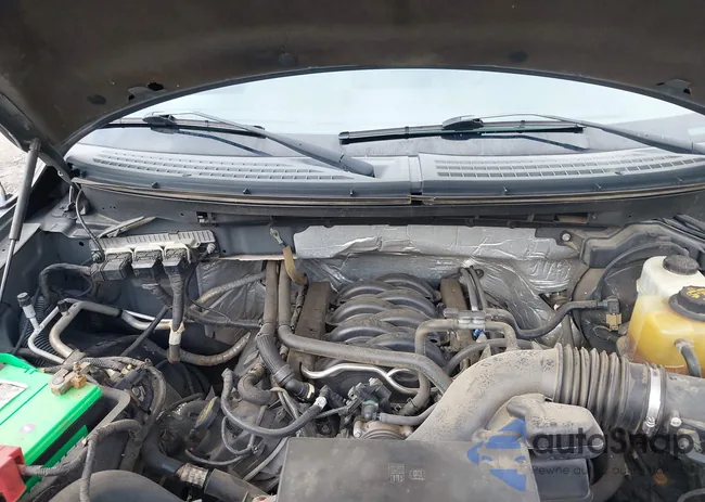 1FTFW1EF2DFC77036: 43905763