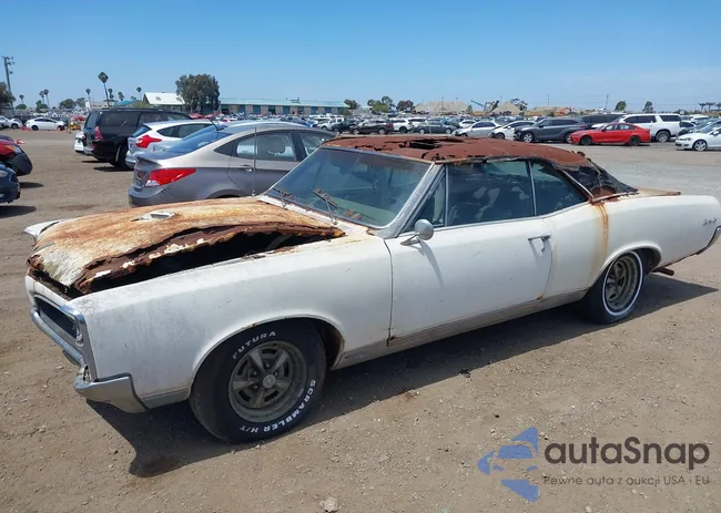 242177K141974: 43905808