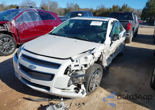 1G1ZD5EB5AF250263: 43906881