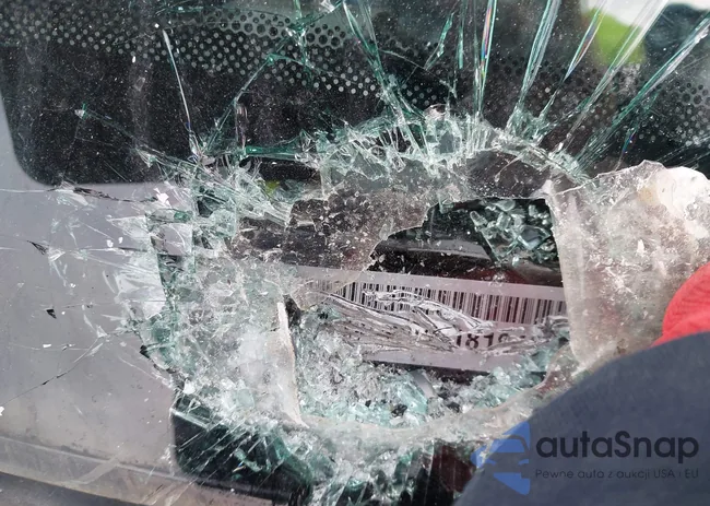 2C3CDXL90LH181948: 43906947