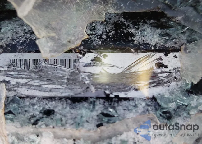 2C3CDXL90LH181948: 43906947