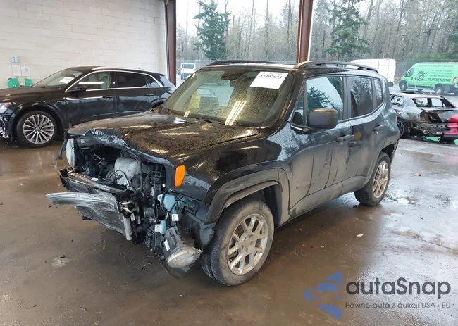 ZACNJBABXKPK70393: 43907055