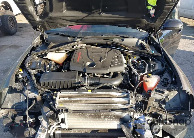 ZARFAMAN4L7635748: 43907190