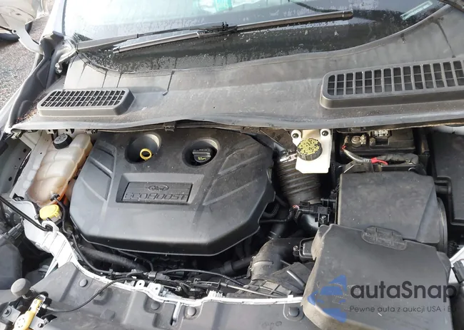 1FMCU0H97DUD67881: 43907381