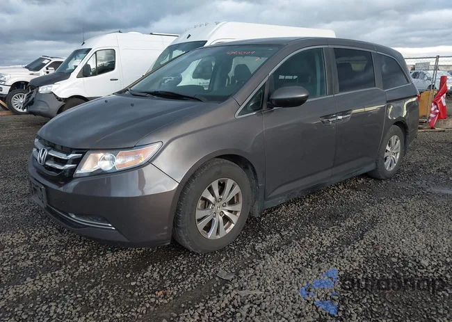 5FNRL5H40FB073317: 43906509