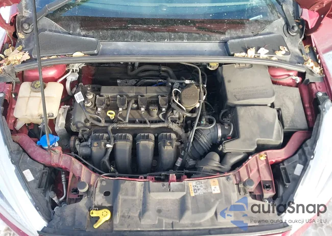 1FADP3F29GL232795: 43906691