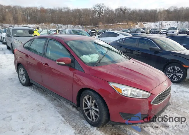 1FADP3F29GL232795: 43906691