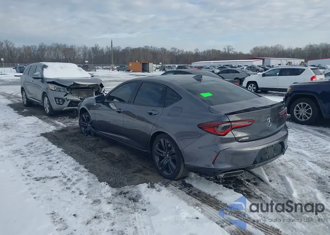 19UUB6F54MA009822: 43906833