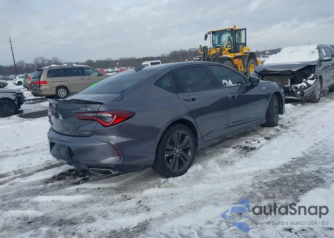 19UUB6F54MA009822: 43906833