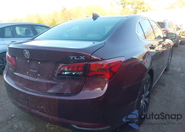 19UUB1F53GA015313: 43908155