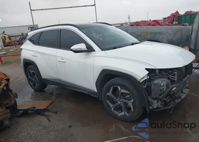 KM8JFCA1XPU099954: 43907541